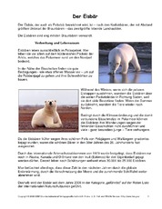 Eisbär-Steckbrief.pdf